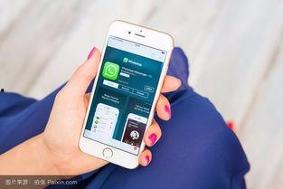 云水怒手机在线观看,手机在线观看，揭秘神秘江湖风云  第2张